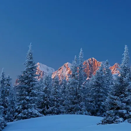 بيت ضيافة Haus Petersmann رامساو أم داتشستين