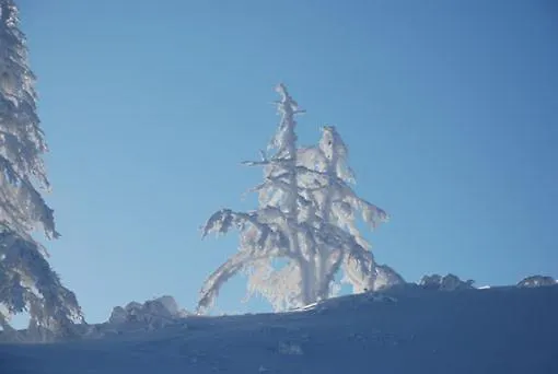 Vendégház Haus Petersmann